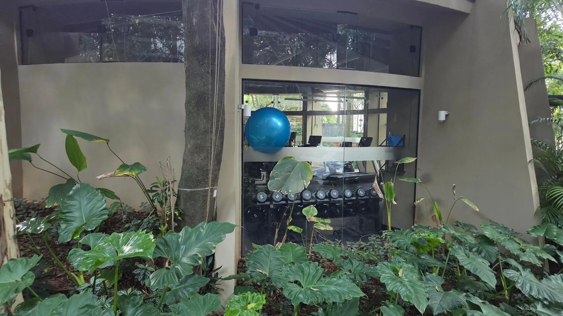 Homestay Refugio Verde Na Cidade Sao Paulo