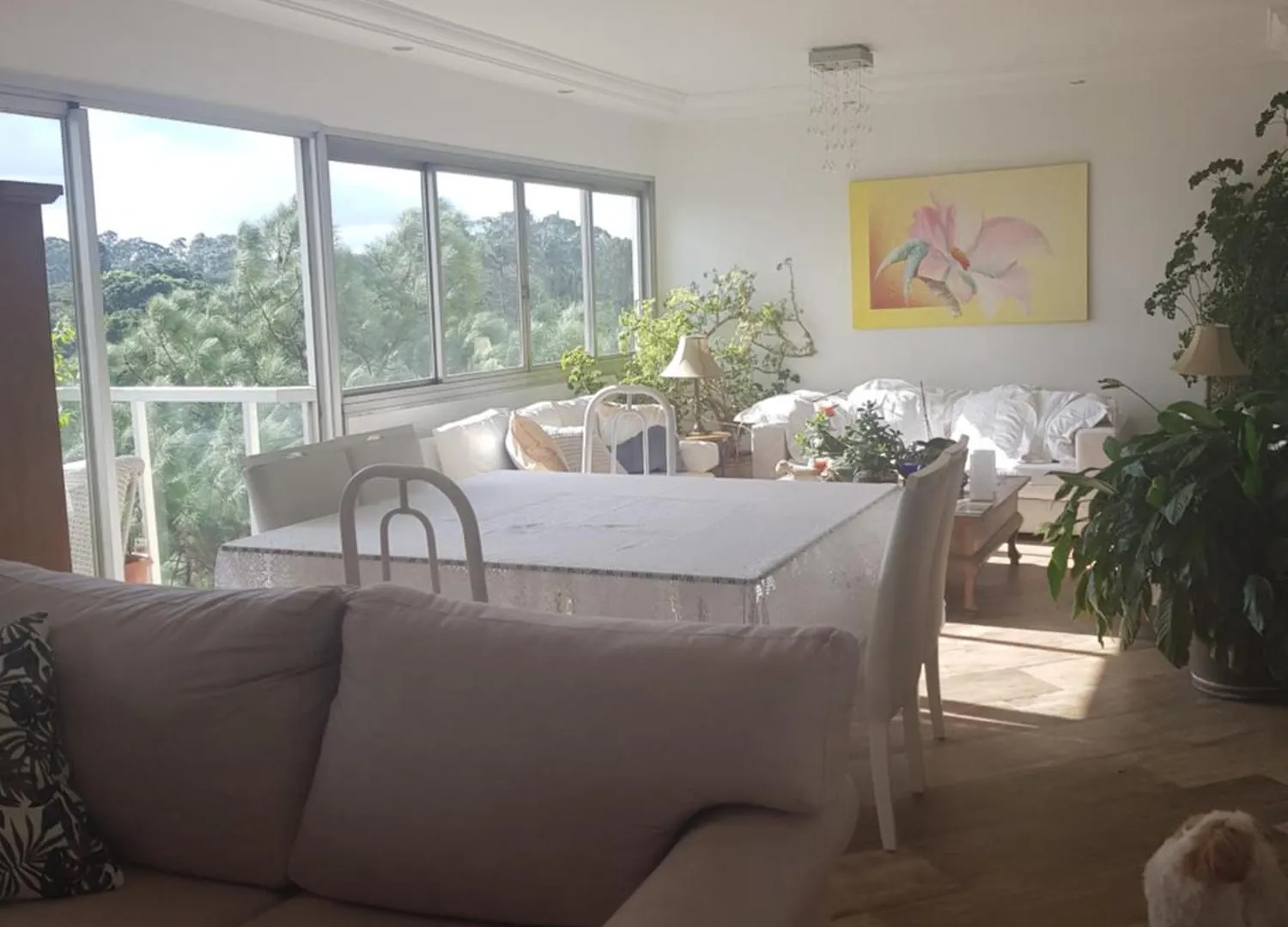 Homestay Refugio Verde Na Cidade Sao Paulo Brazil